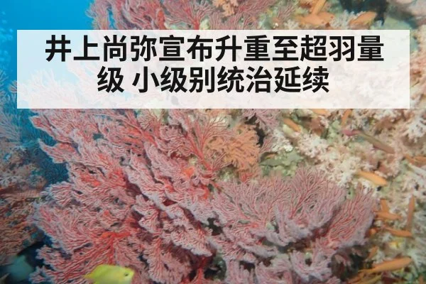 井上尚弥宣布升重至超羽量级 小级别统治延续